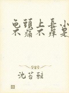 龟头上长小疙瘩不痛不痒是怎么回事