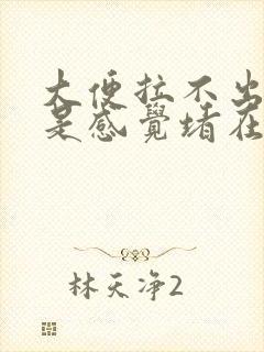 大便拉不出来但是感觉堵在肛门