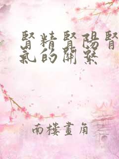 肾精肾阳肾阴肾气的关系