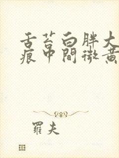 舌苔白胖大有齿痕中间微黄