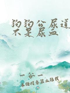 狗狗公尿道滴血不是尿血