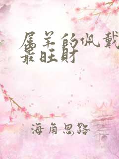 属羊的佩戴什么最旺财