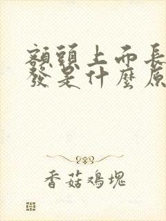 额头上面长白头发是什么原因