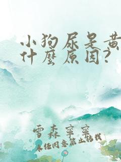 小狗尿是黄的是什么原因?