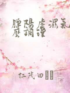 脾阳虚湿气重怎么调理