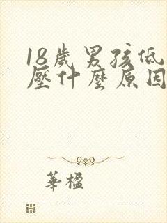 18岁男孩低血压什么原因导致的