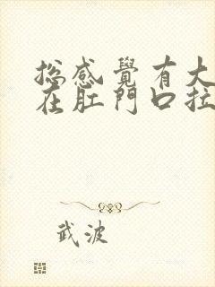 总感觉有大便堵在肛门口拉不出来