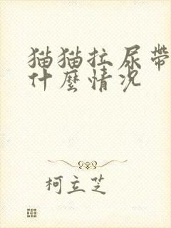 猫猫拉尿带血是什么情况