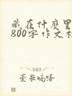 藏在什么里的爱800字作文初中