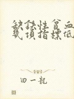 缺铁性贫血是哪几项指标低