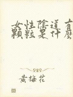 女性阴道有白色颗粒是什么原因