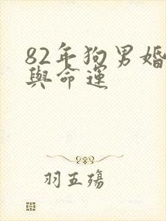 82年狗男婚姻与命运