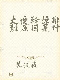 大便干燥排便困难原因是什么