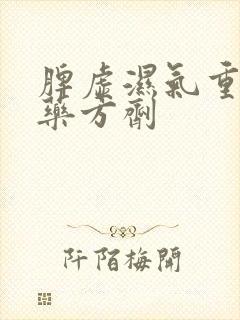 脾虚湿气重的中药方剂