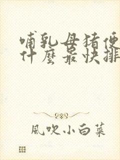 哺乳母猪便秘吃什么最快排便