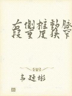 右侧椎动脉v4段重度狭窄