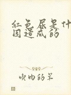 红色尿是什么原因造成的