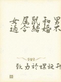 女属鼠和男属猪适合结婚不