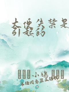 大便失禁是怎么引起的