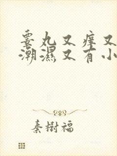 睾丸又痒又疼又潮湿又有小红疙瘩