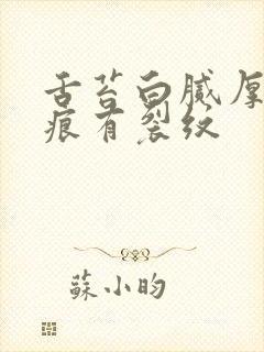 舌苔白腻厚有齿痕有裂纹