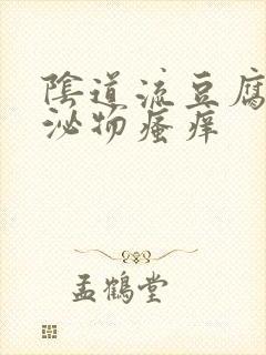 阴道流豆腐渣分泌物瘙痒