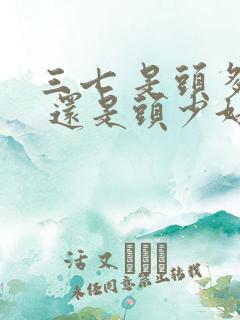 三七 是头多好 还是头少好