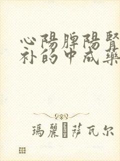 心阳脾阳肾阳同补的中成药