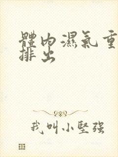 体内湿气重怎么排出