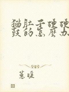 猫肚子硬硬的鼓鼓的怎么办