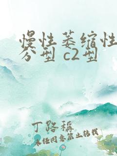 慢性萎缩性胃炎分型 c2型