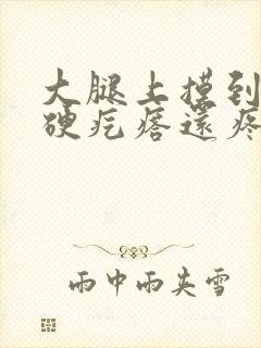 大腿上摸到一个硬疙瘩还疼怎么回事