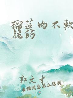 榴莲肉不软糯,脆的