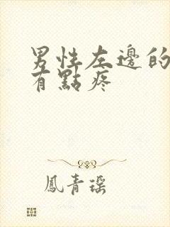 男性左边的睾丸有点疼