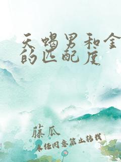 天蝎男和金牛女的匹配度