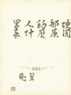 男人的那硬不起来什么原因