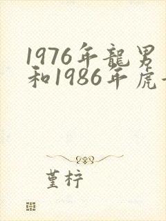 1976年龙男和1986年虎女婚配