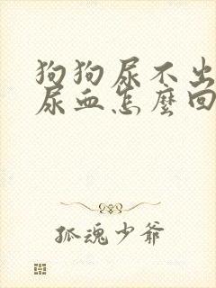 狗狗尿不出而且尿血怎么回事