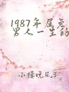 1987年属兔男人一生的命运