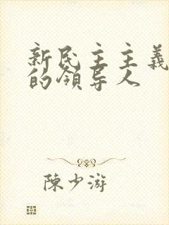 新民主主义革命的领导人