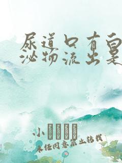 尿道口有白色分泌物流出是什么原因