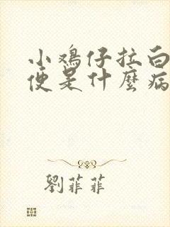 小鸡仔拉白色稀便是什么病吃什么药