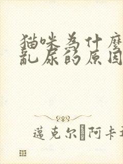 猫咪为什么乱拉乱尿的原因