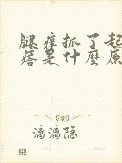 腿痒抓了起小疙瘩是什么原因