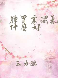 脾胃寒湿气重吃什么 好