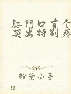 肛门口有个肉球突出特别疼