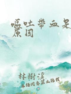 呕吐带血是什么原因