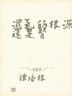 湿气的根源在脾还是肾