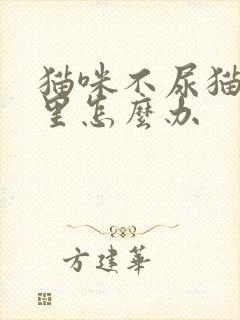 猫咪不尿猫砂盆里怎么办