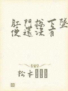 肛门总下坠想排便还没有